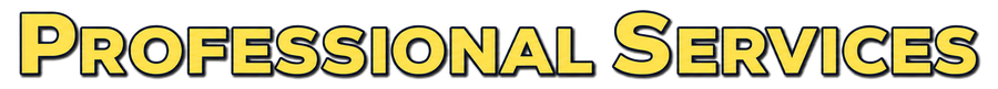Professional Services